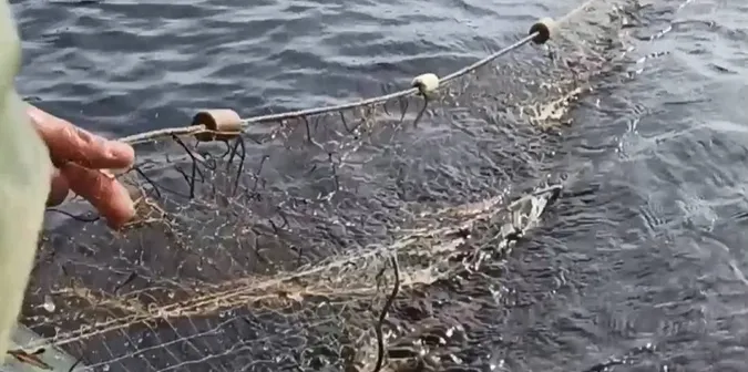 З волинських водойм витягнули понад 600 метрів сіток (фото)