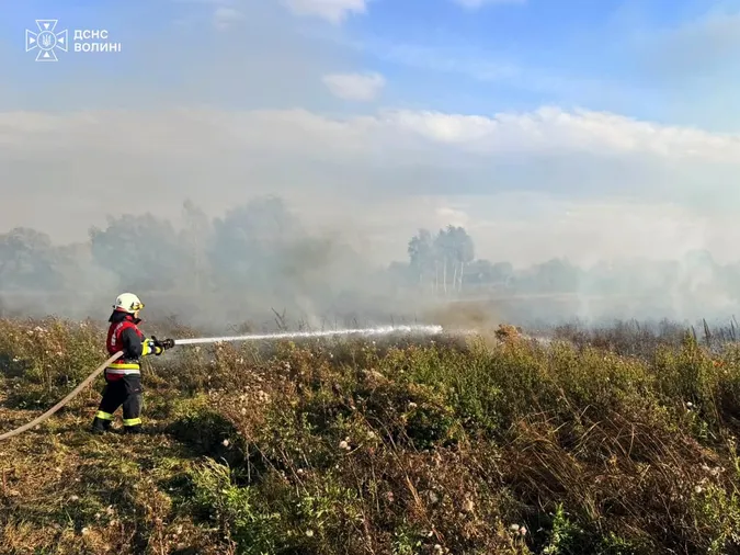 Вогонь охопив 6,2 га: на Волині горіли суха трава, очерет і лісова підстилка (фото)