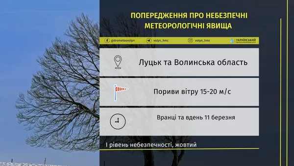 «Жовте» попередження: на Волині буде вітряно