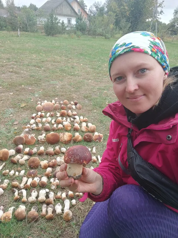 Сезон у розпалі: де волиняни збирають море грибів (фото)