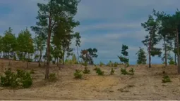 На Поліссі серед боліт ховається унікальна гора, витоптана козаками