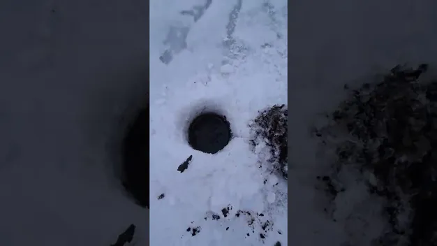 Крига скувала до самого дна: у ставку біля Луцька загинула вся риба (фото, відео)