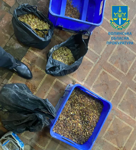 На Волині викрили підпільний цех з обробки бурштину (фото)