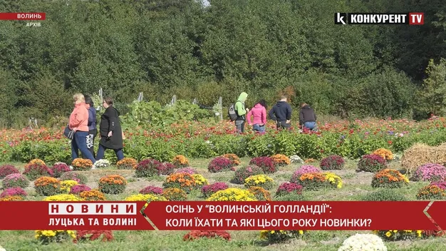 «Волинська Голландія»: коли варто їхати на фестиваль квітів, і що там буде цього року (відео)