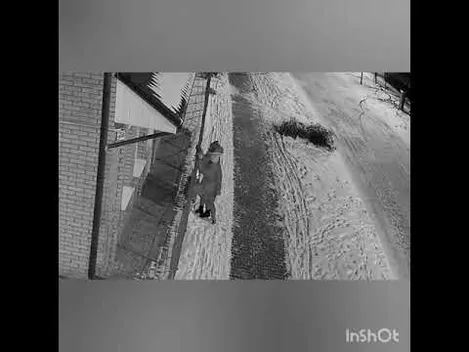 На Волині малолітні вандалки пошкодили паркан підприємцю (відео)