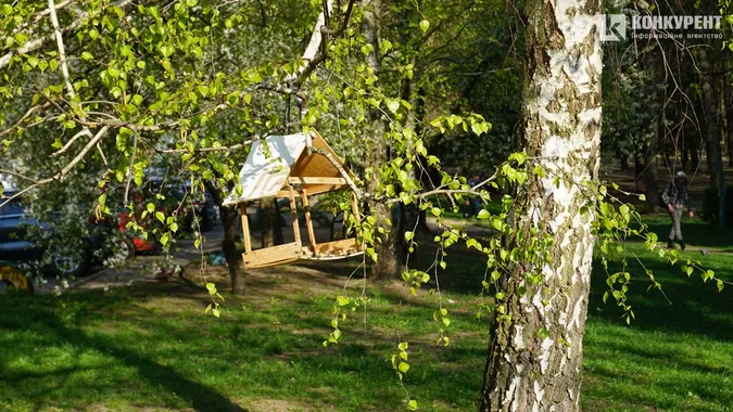 Сонце, квіти і коти: Луцьк заполонила справжня весна (фото)
