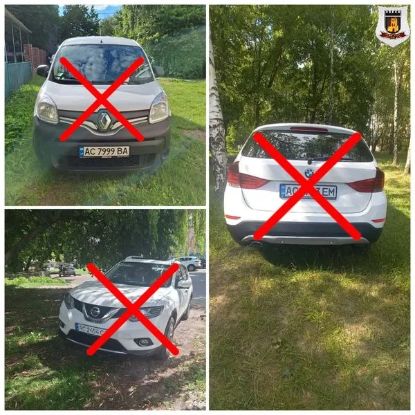 У Луцьку штрафували паркохамів за знищені газони (фото)