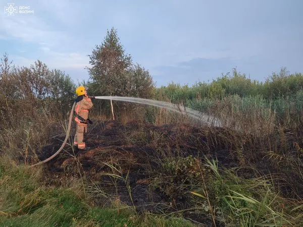 На Волині двоє пенсіонерів виявилися паліями сухої трави (фото)