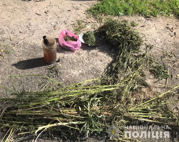 Мак, шприци, конопляний пакунок на зону: наркотичний улов поліції Волині за добу (ФОТО)