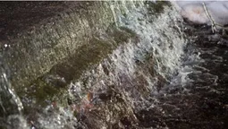 У Ківерцях вулицю три тижні заливає водою