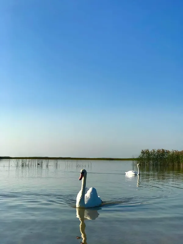 У Шацьких озерах вимірювали рівень води: які результати (фото)