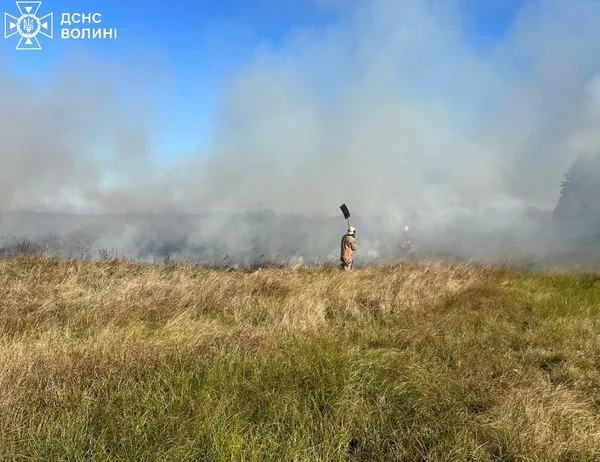 Винуватець втік: на Ратнівщині горіли суха трава та чагарники (фото)