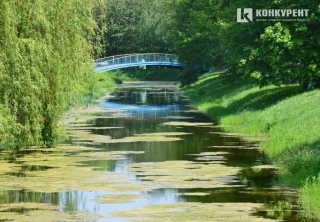 У канали центрального парку Луцька випустили 300 кілограмів риби (фото)