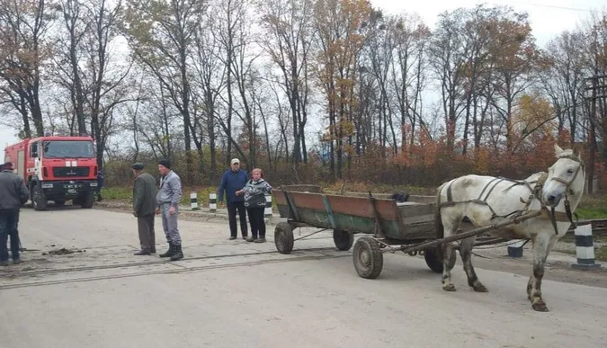 У Ковельському районі рятувальники звільнили коня, який застряг між залізничними коліями