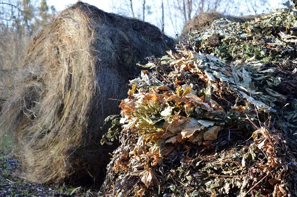 Луцький зоопарк отримав від лісівників тонну сіна і кормові віники (фото)