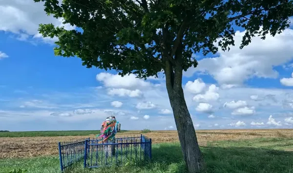Росте з-під землі: на Волині кам'яний хрест збільшується у розмірах (фото)