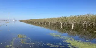 Озеро-привид повернулося після 130 років: вода затопила величезну територію
