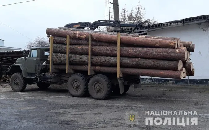 На Волині зупинили вантажівку з краденою деревиною (фото)