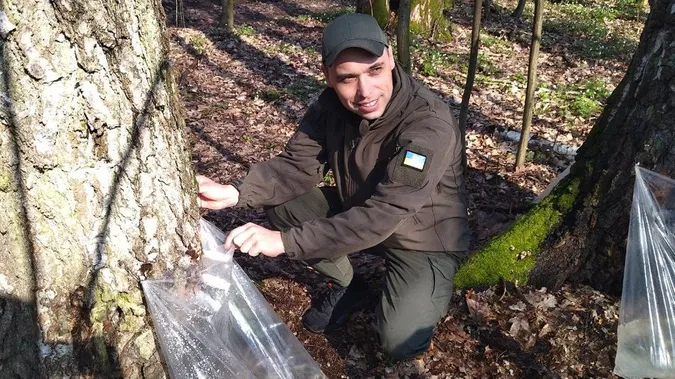 Закривають сезон: як на Волині заготовлюють березовий сік (фото, відео)