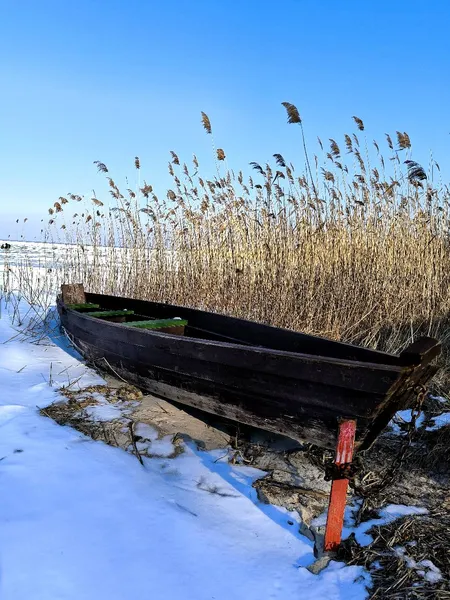 Трава на берегах і крига на воді: на Світязі зима зустрічає весну (фото)