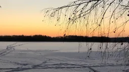 Засніжені пейзажі Шацьких озер замилували волинян (фото)