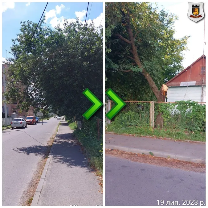 У Луцьку муніципалам поскаржилися на гілля, що заважає проїзду (фото)