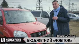 Луцький автобазар: у пошуках «чобітка» – супертехніки для села і для міста (відео)