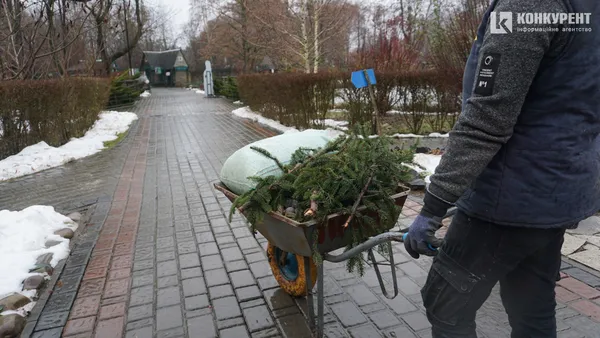 Тлін, безвихідь і бігуни: різдвяний ранок у луцькому парку (депресивні фото)