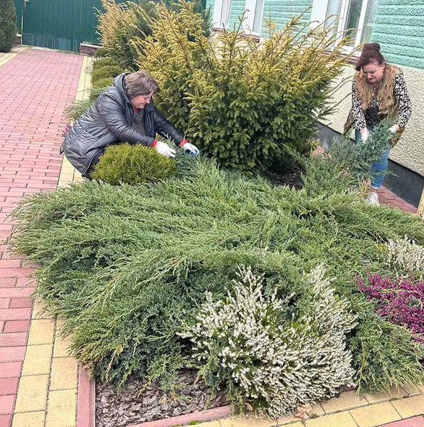«Маленька вдячність Природі»: на Волині прибирали й озеленювали території, очищали джерела та водойми (фото)