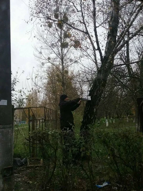 У Луцьку ліквідували «рекламне бюро» (фото)