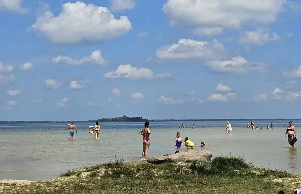 Світязь стрімко обмілів: чому зникає вода у Шацьких озерах та чи винна в цьому лохина (фото)