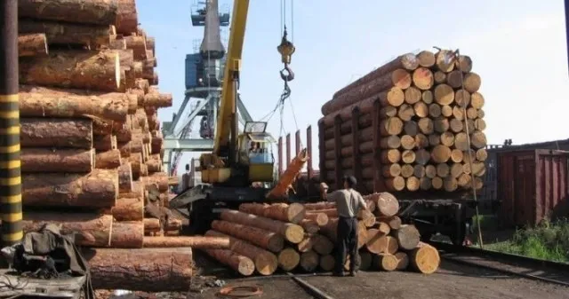 Волинські митники ретельно контролюють експорт лісу