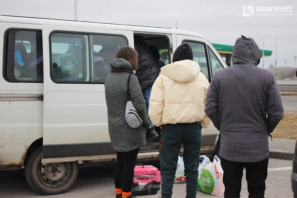Як волонтери евакуювали в Польщу сімдесят троєщинських котиків (фото)