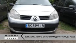 Дизельне авто «не за всі гроші»: що можна знайти на Луцькому автобазарі (відео)