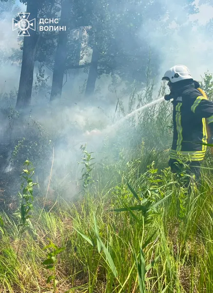 Пляж горів на Світязі через відпочивальників, – рятувальники