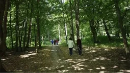 У Любешеві відкрили нову екологічну стежку (фото)