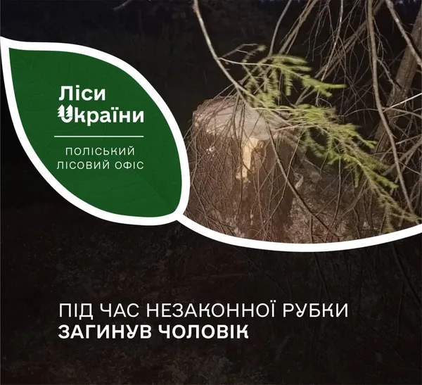 Волинянина на смерть розчавило дерево