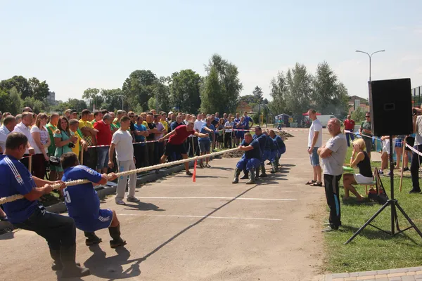 Чим живе лісова профспілка Волині