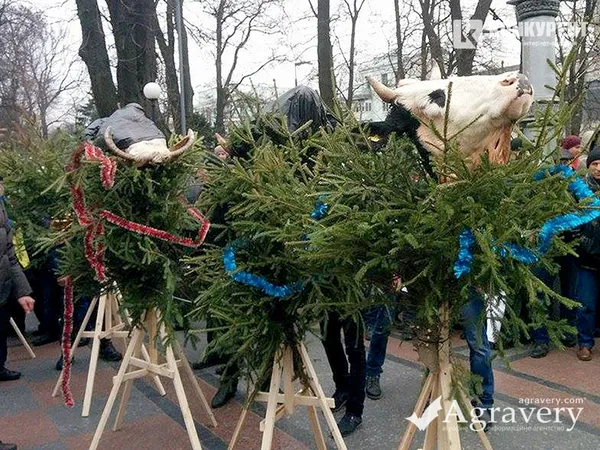 Перебіг всеукраїнського страйку аграріїв у Києві і переможний фінал
