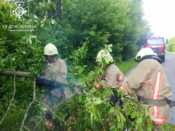 У Луцькому районі через дерево на дорозі зупинився рух транспорту (фото)