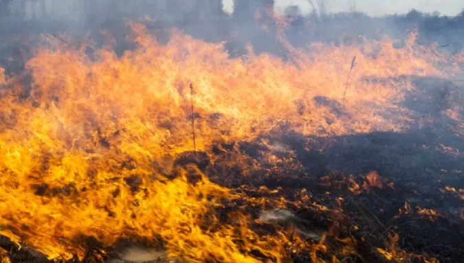 На Волині оголосили надзвичайно високий рівень пожежної небезпеки (відео)