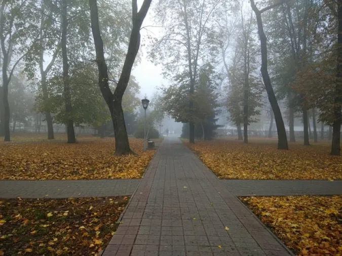 Тепліше, але хмарно: погода в Луцьку на суботу, 14 листопада