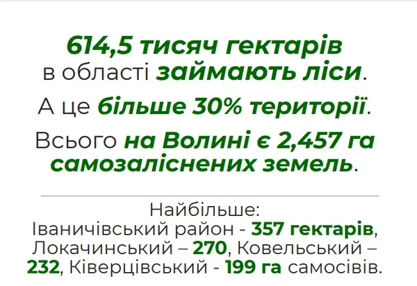 «Нічийні» землі, або Що чекає на волинські самосіви