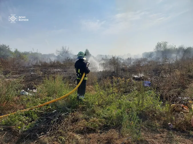 Паліїв шукають: на Волині за добу сталося п'ять пожеж у полях (фото)
