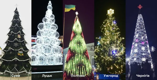 В Україні обирають Міс Ялинку-2017: Луцьк – у грі (фото)