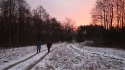 У волинському нацпарку помітили червонокнижних звірів