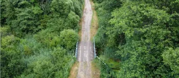 На Волині заховався унікальний куточок дикої природи, де мешкають бобри та видри (фото)