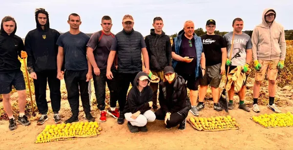 На Волині картопля «вироджується»: хто береться рятувати ситуацію (фото)