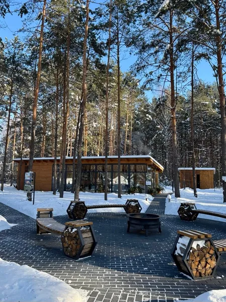 Лід, ліс і тиша: як відпочити у Шацькому нацпарку взимку (фото)