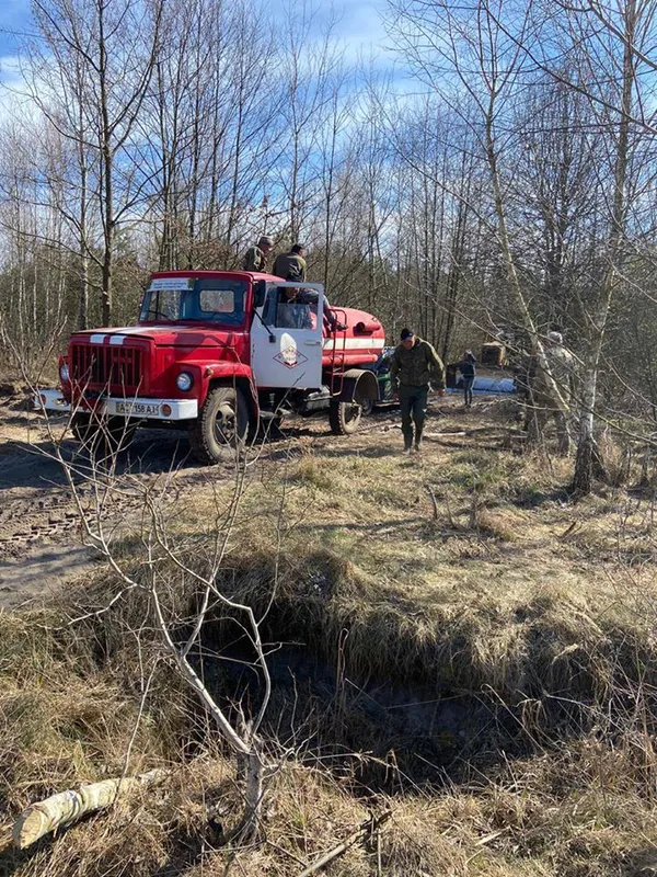 Шкода від лісових пожеж більша, ніж від незаконних рубок, – головний лісівник Волині (фото)